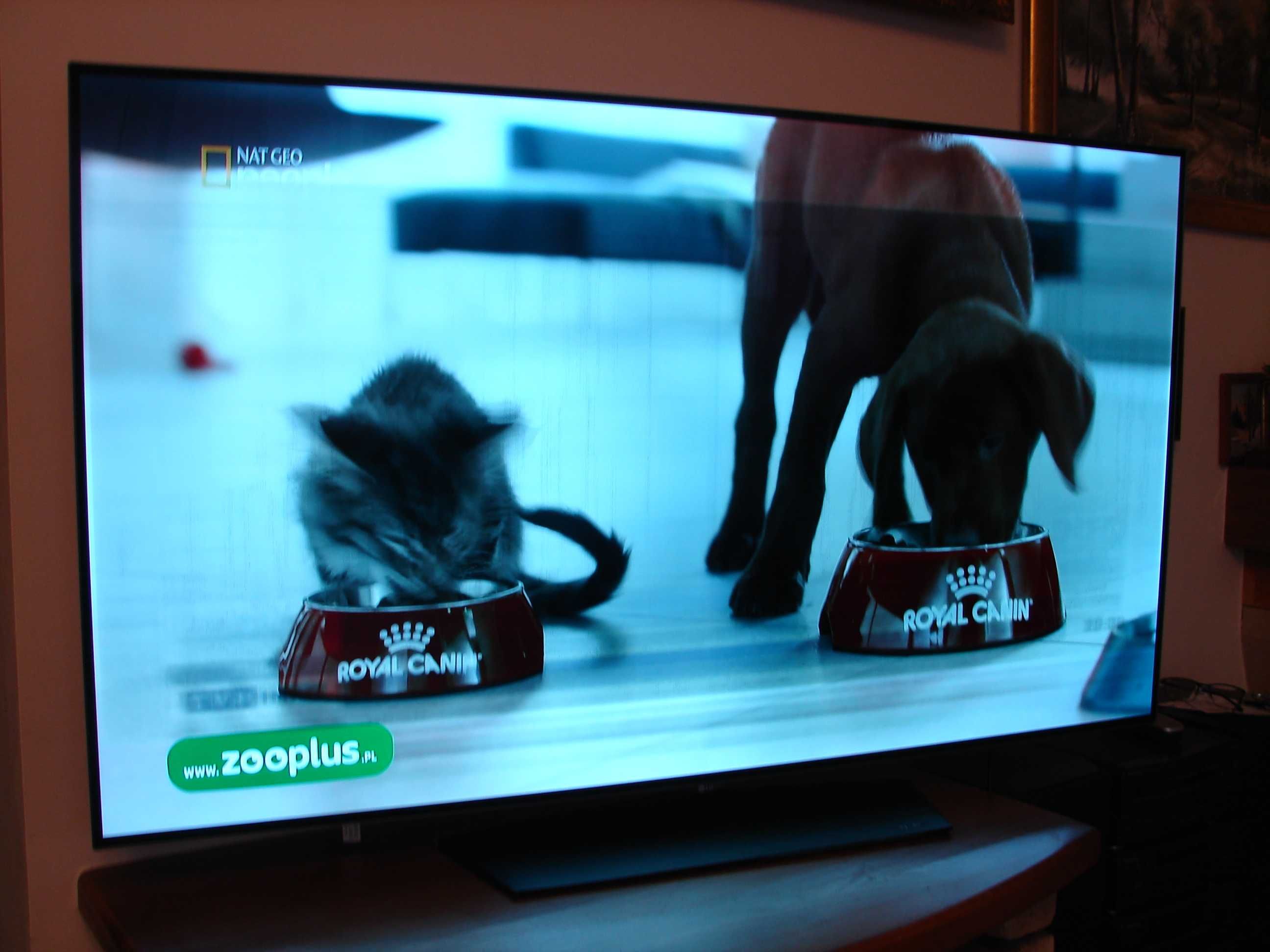 Telewizor Oled 55B6j