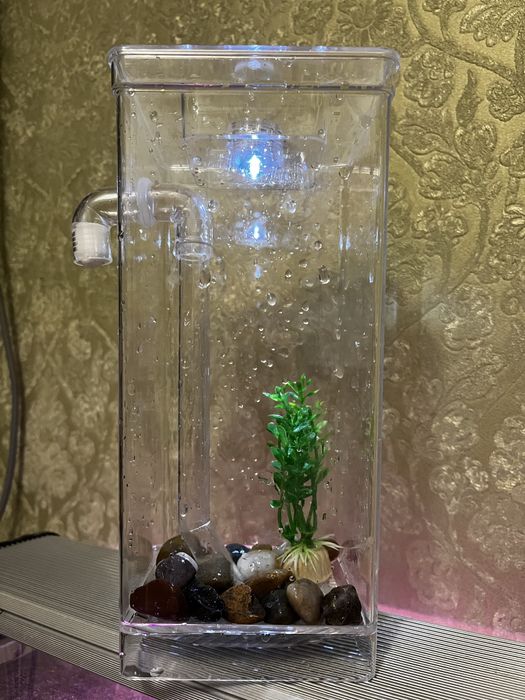 Аквариум пластиковый на 2 л