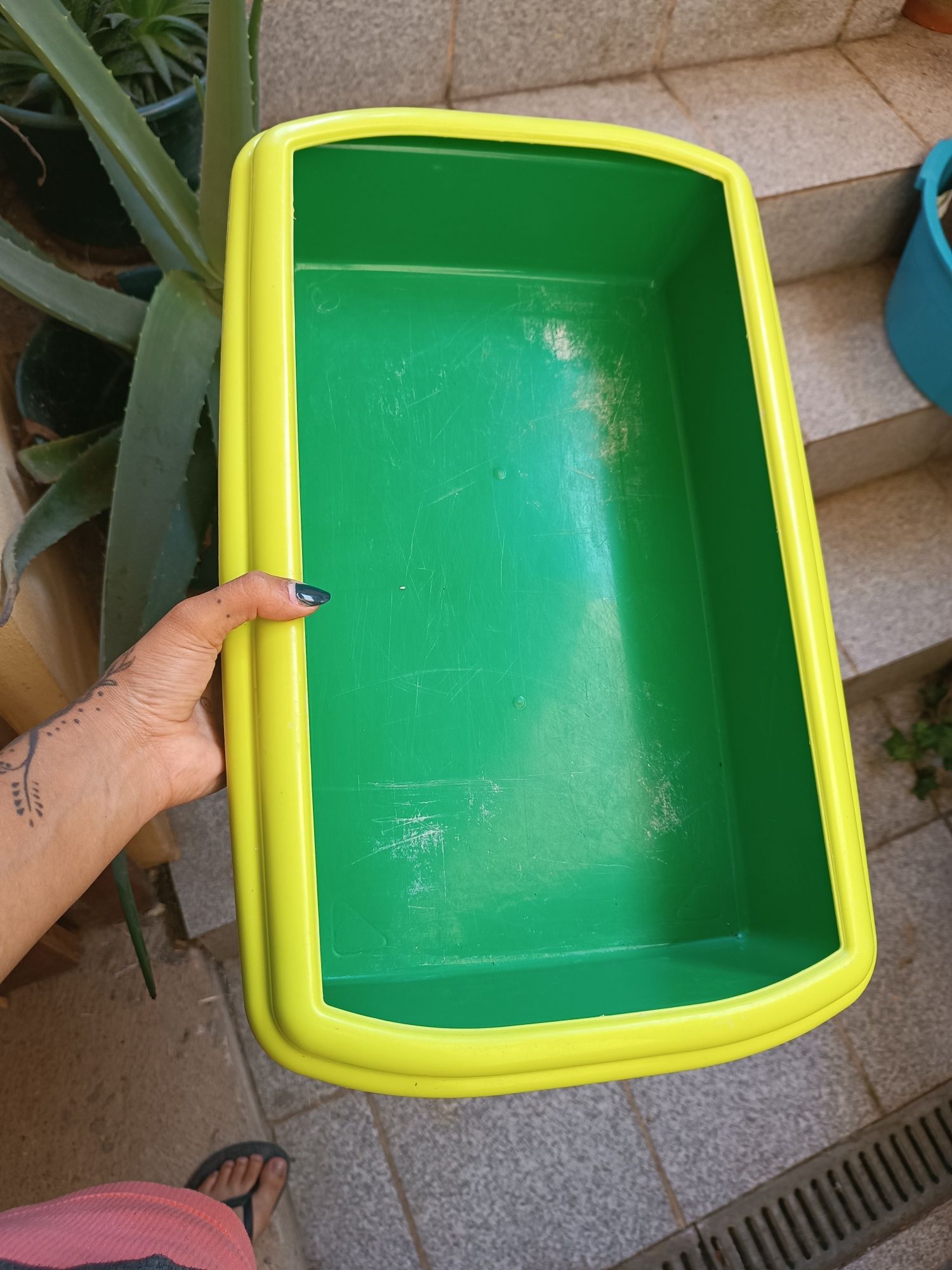 Caixa de areia para gatinho