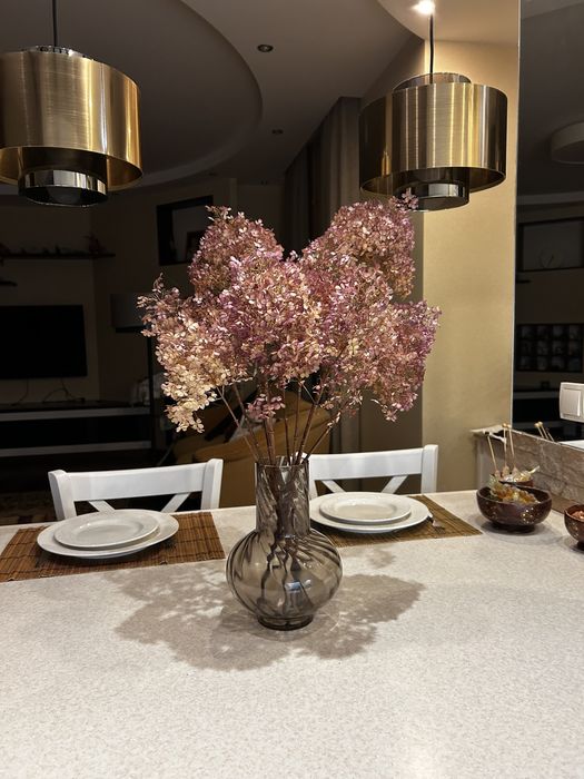 Гортензия сухоцвет, 2025, стабилизировпнная