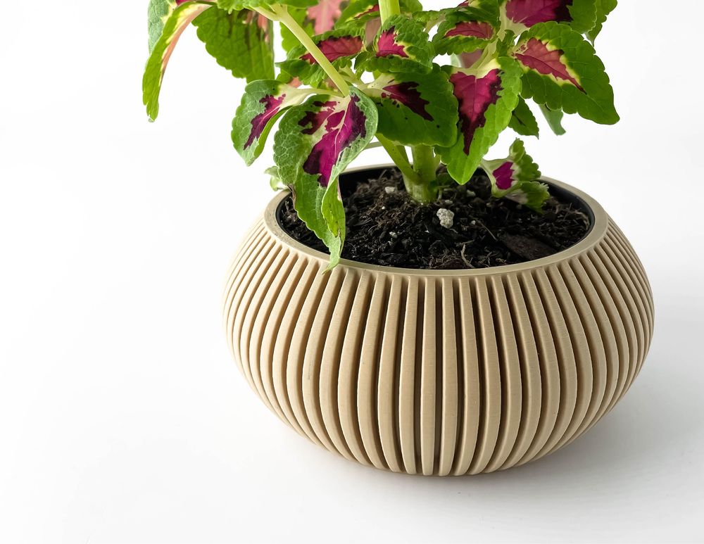 Vaso moderno plantas