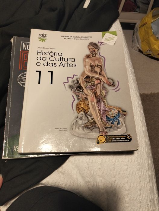 Livros 12 ano português e História