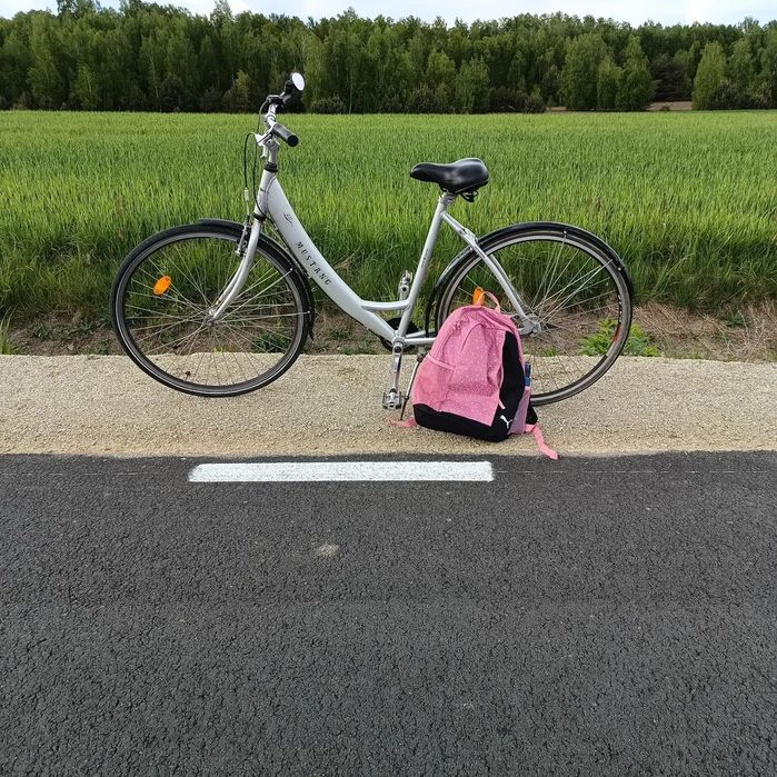 Rower miejski Mustang 28" aluminiowy, Shimano Nexus 3 biegi