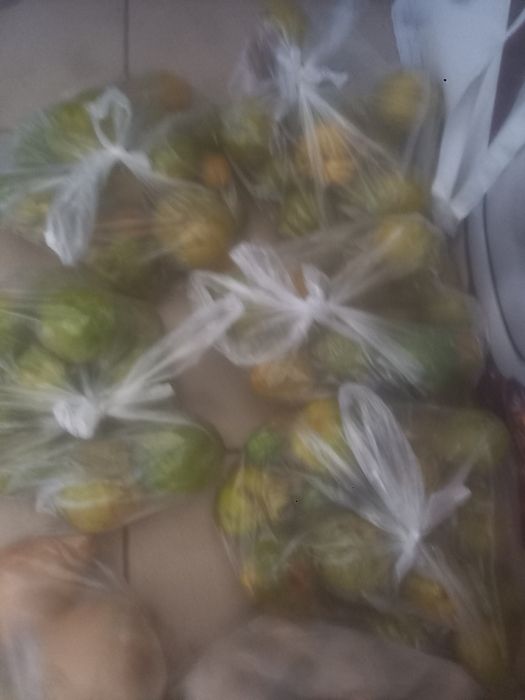 Sprzedam 5 kg pigwy japońskiej