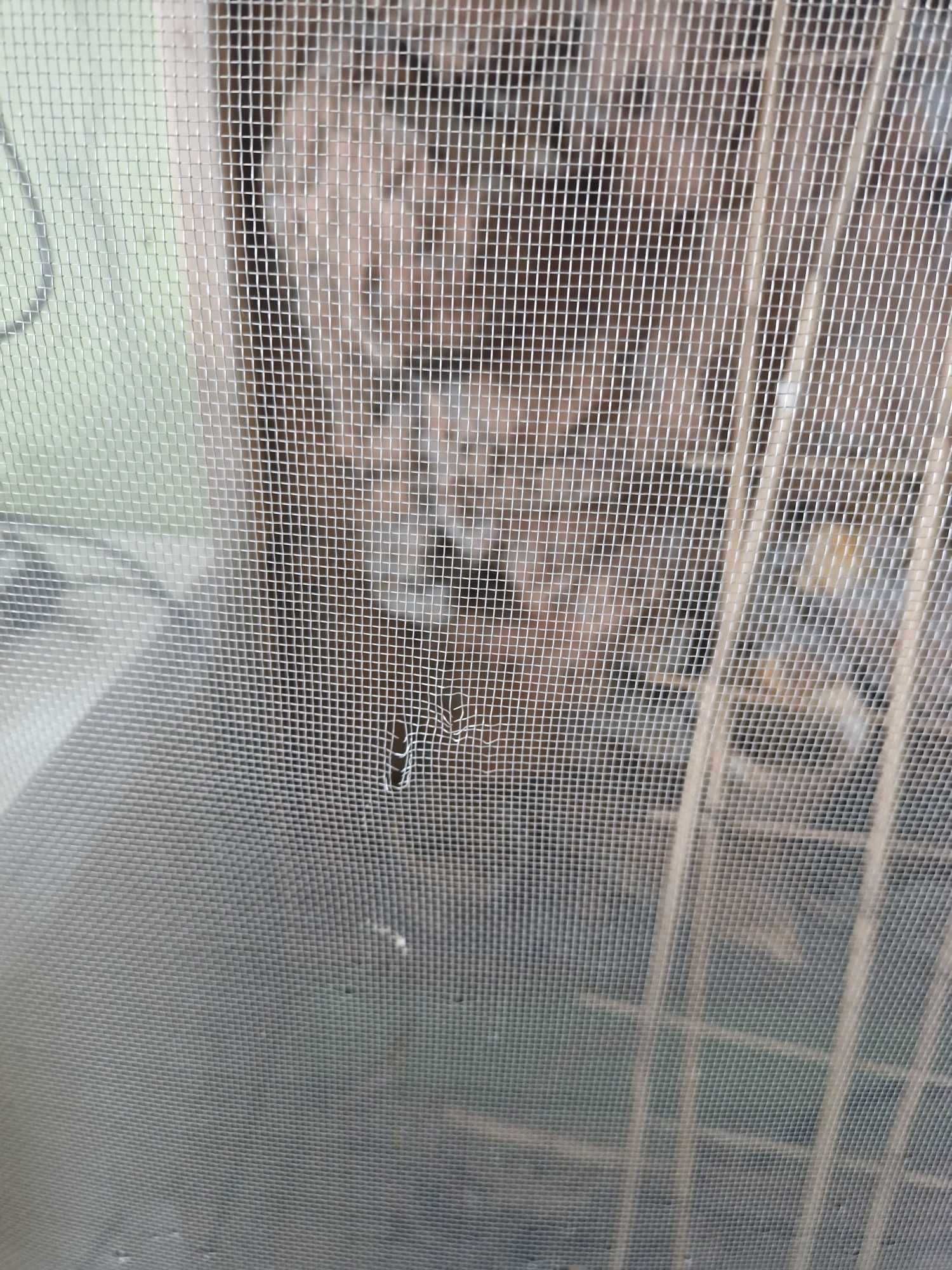 Duże terrarium dla kameleona i nie tylko, siatka