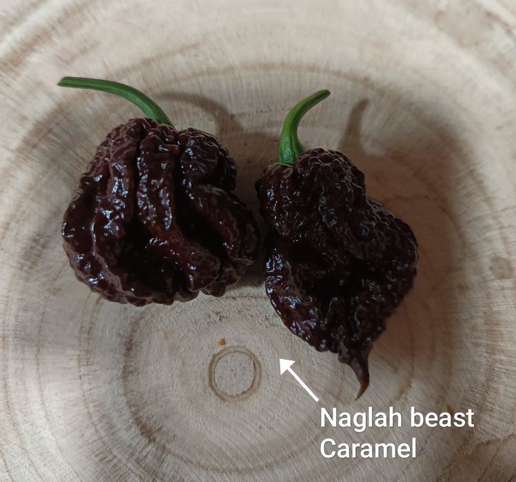 Caixa de malaguetas frescas ardência Nuclear