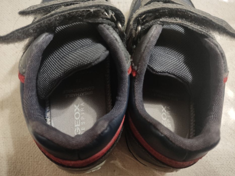 Sapatilhas geox  T22