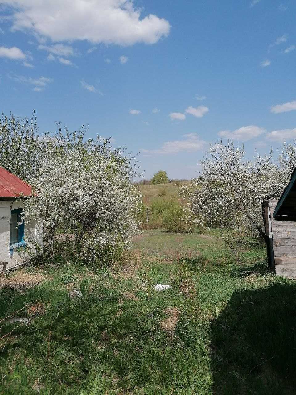 Пропозиція для поціновувачів мешкати поруч з лісом