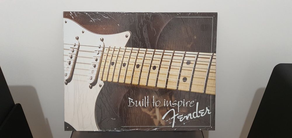 Quadro Fender Stratocaster