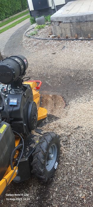Wycinka drzew Frezowanie pni wywóz gałęzi zrębka