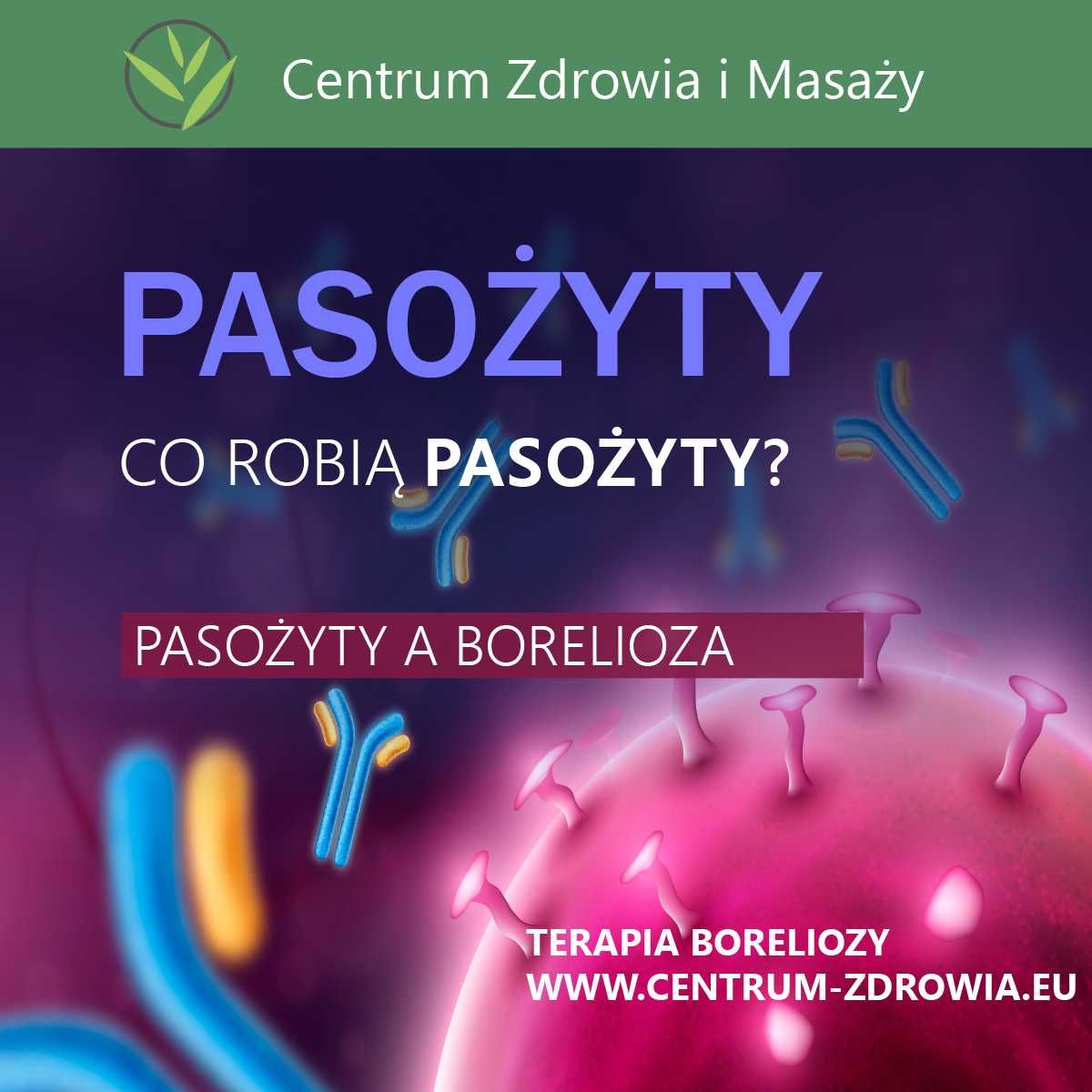 Terapia generatorem plazmowym borelioza, koinfekcje 120 zł / 2 h