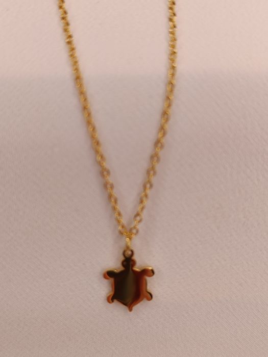 Turtle Necklace / Yarn