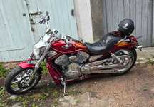 Harley Davidson v- rod cvo - złoty kluczyk
