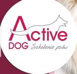 Active Dog- Szkolenie psów HOTEL, GROOMER