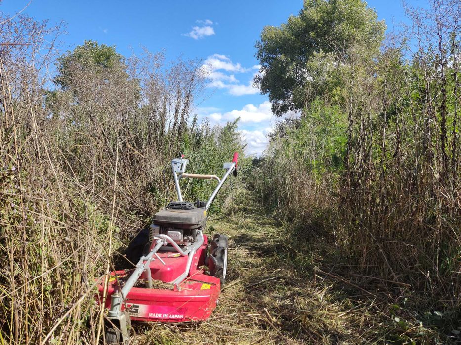 Покос бурьяна, травы. уборка территории