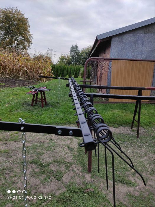 Grabki/ Zagarniacze/ Bronki Poznaniak