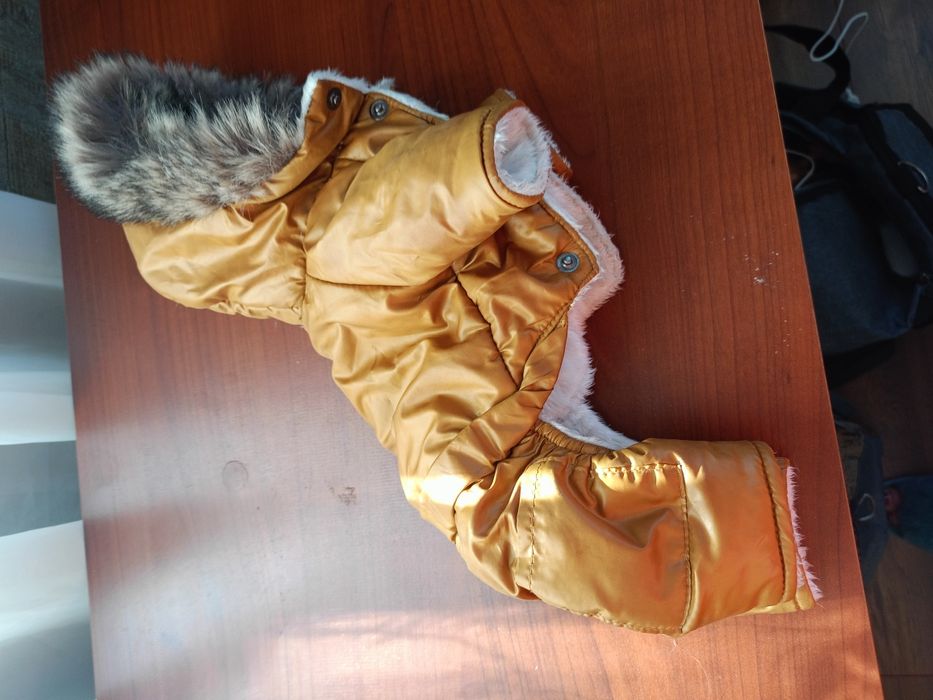 Зимовий одяг для собачки