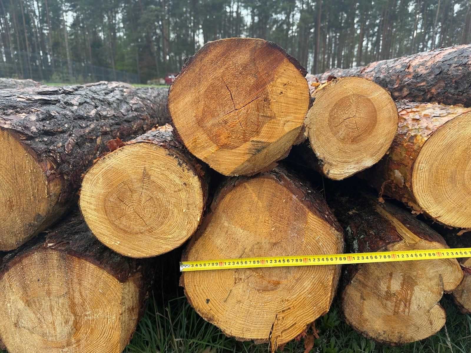 Sprzedam sosnę i dąb tartaczny