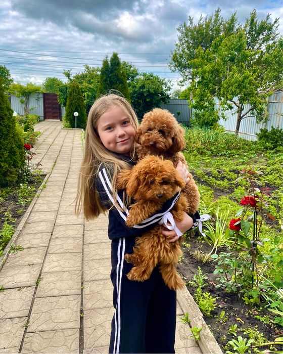 Продам  спортивные костюмы на рост примерно 130