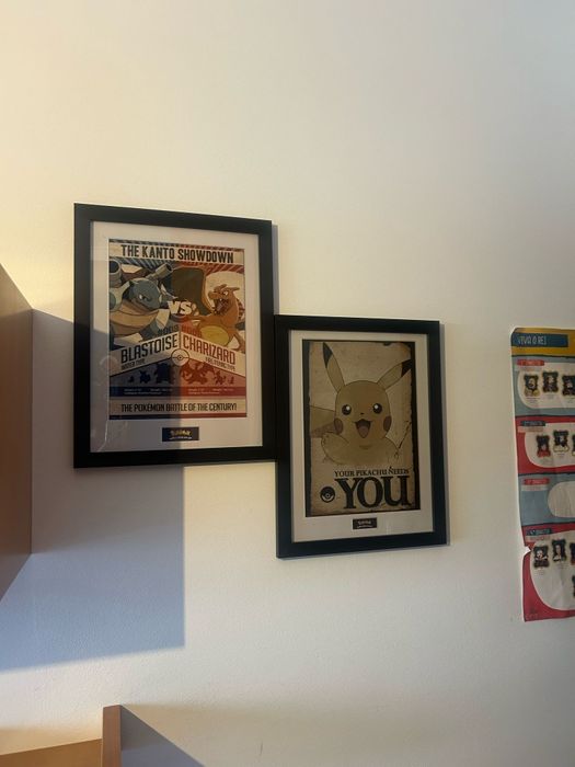 Quadros emoldurado Pokemon