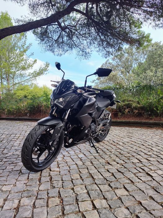 Kawasaki Z300 (ER300A)