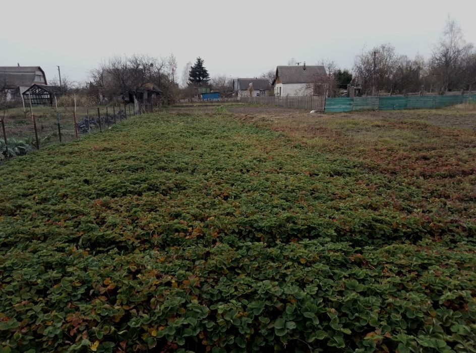 Продаж ділянки під забудову Тетерівський Масив 9 сот.