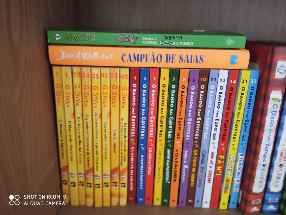 Livro Geronimo Stilton e os Cinco