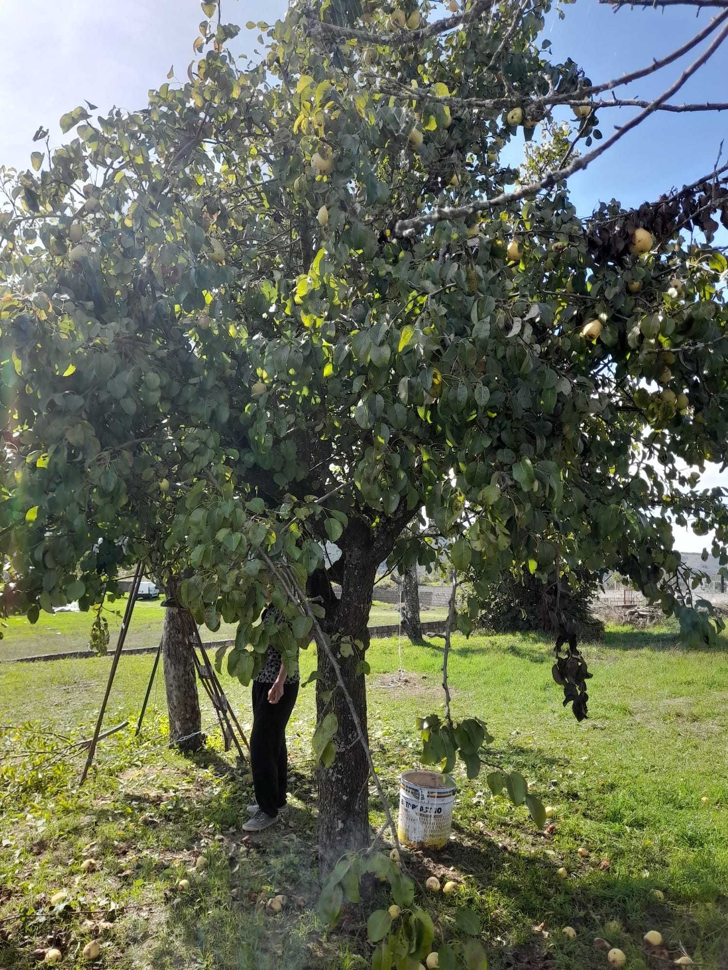 Casa em S. Vicente da Raia (concelho de Chaves)