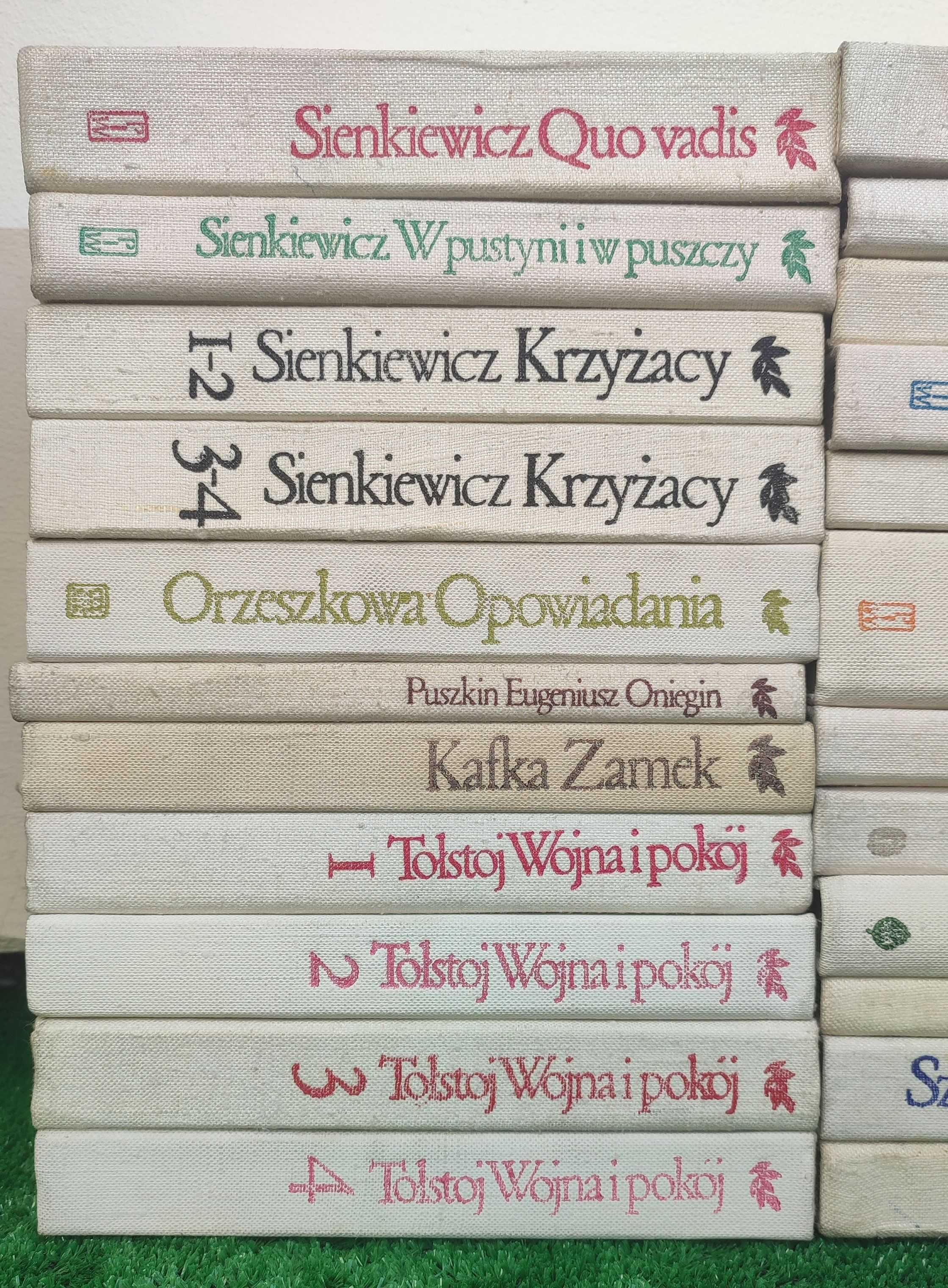 Zestaw 23 Książek Biblioteka Klasyki Polskiej i Obcej * Ładne Wydanie