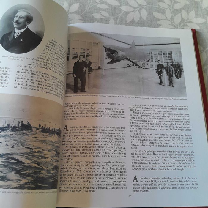 D. Carlos: Fotobiografias Século Vinte