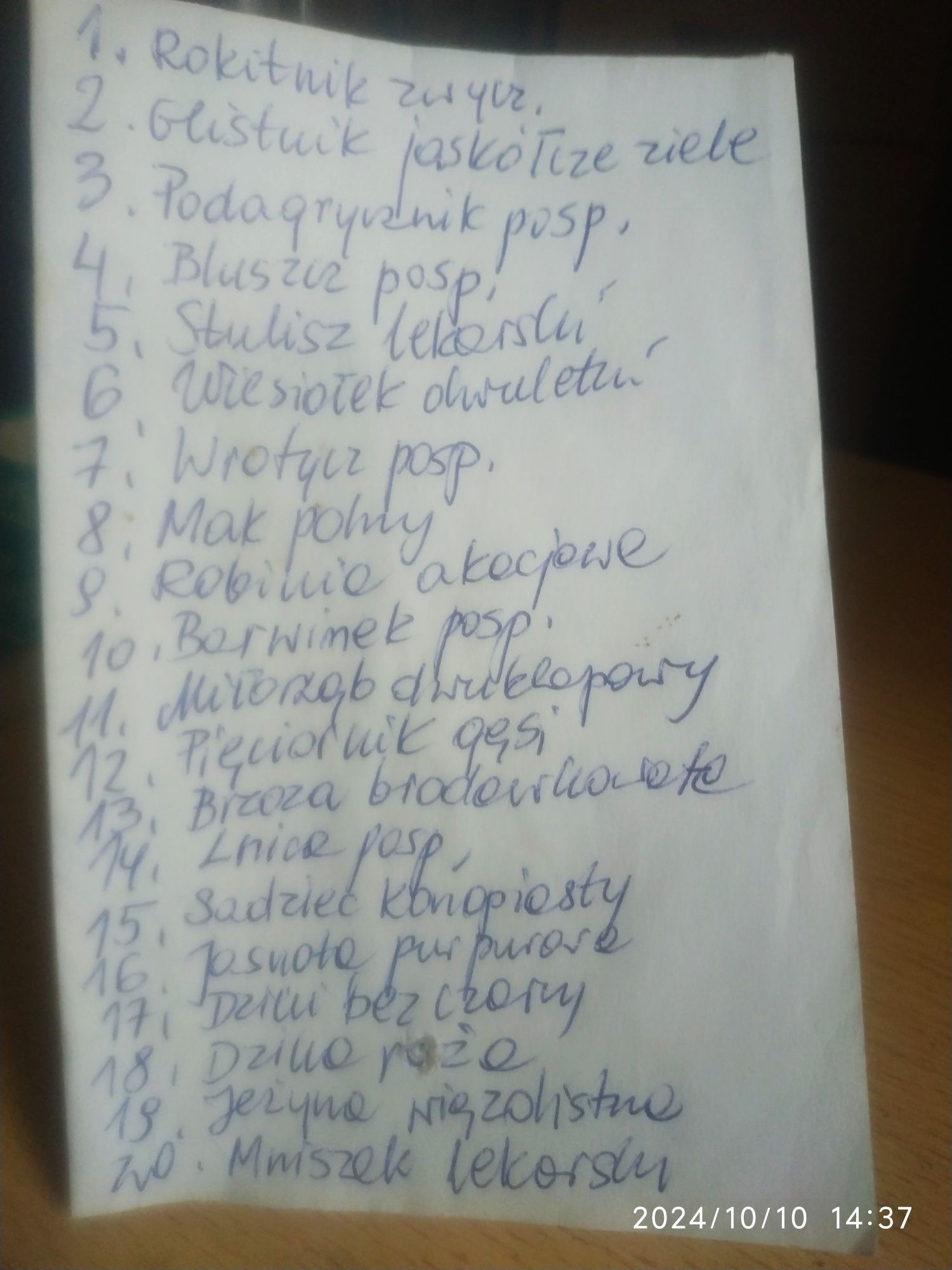 Zielnik szkolny 20  gatunków leczniczych
