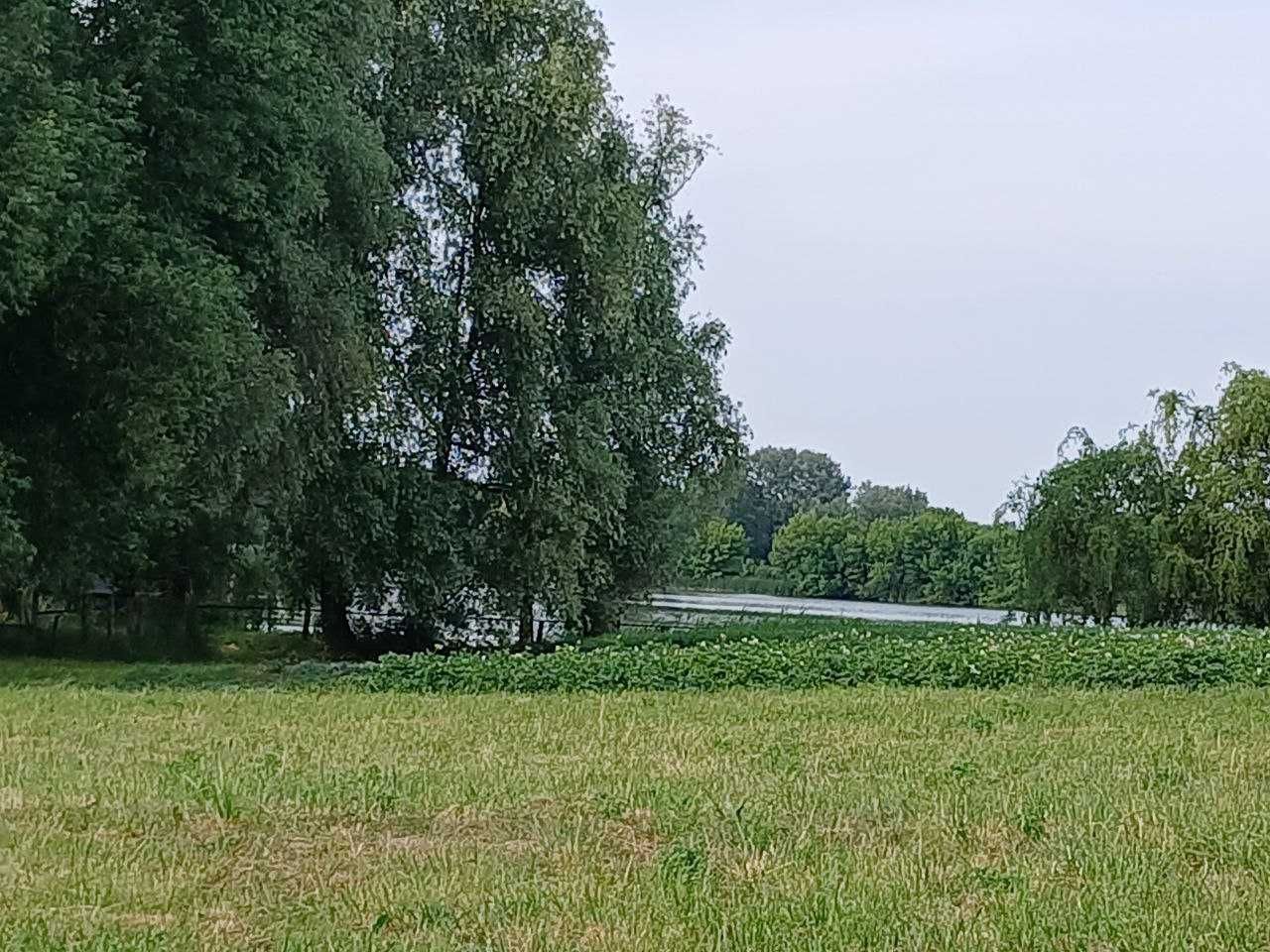 Продам акуратний, дерев'яний будиночок в с. Семенівка!