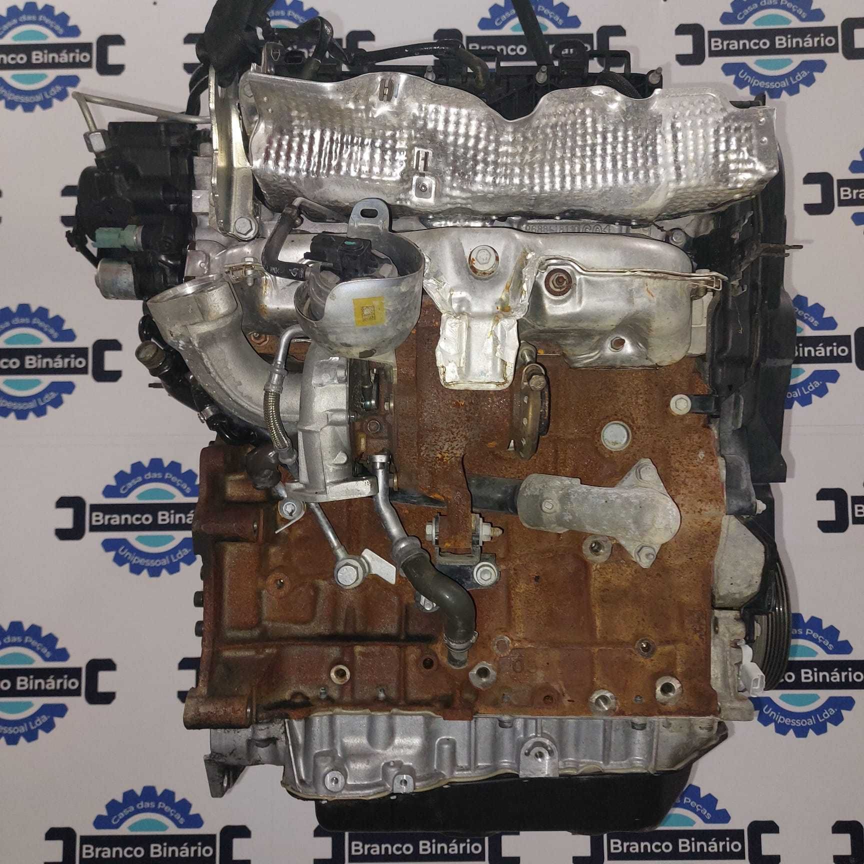 Motor Peugeot/Citroen 2.0 HDI