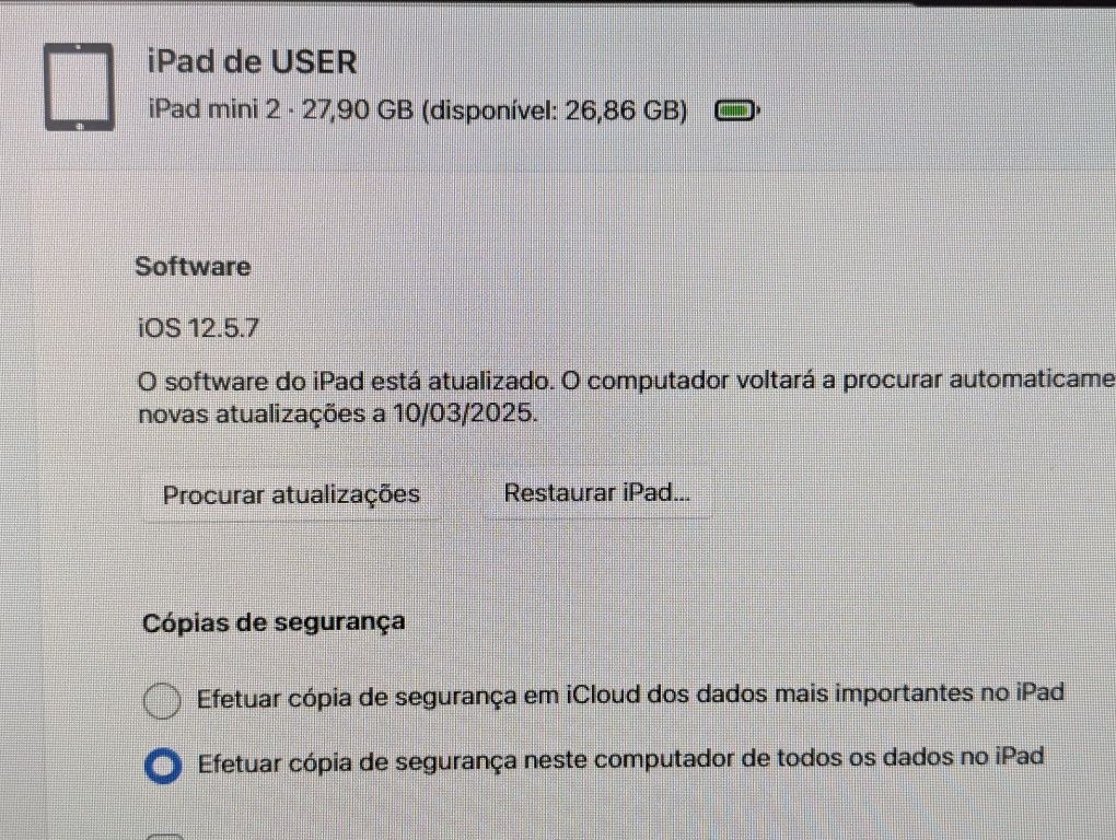 iPad mini 2 como novo