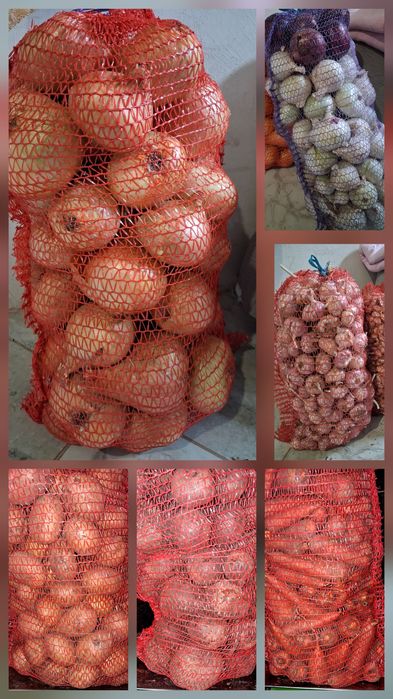 Часник, цибуля, морква і столовий буряк