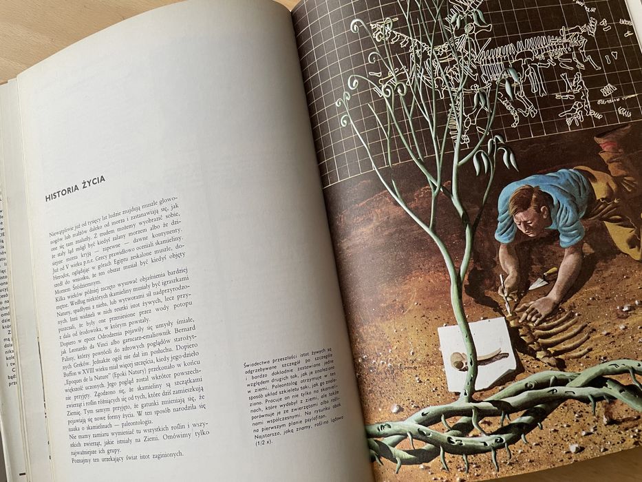 Larousse Ziemia Rośliny Zwierzęta Historia Album Leksykon geografia