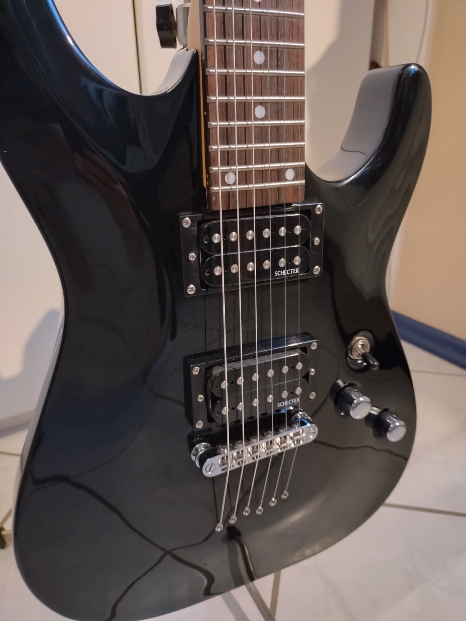 Електрогітари Ibanez та Schecter