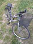 Rower damski 26cali