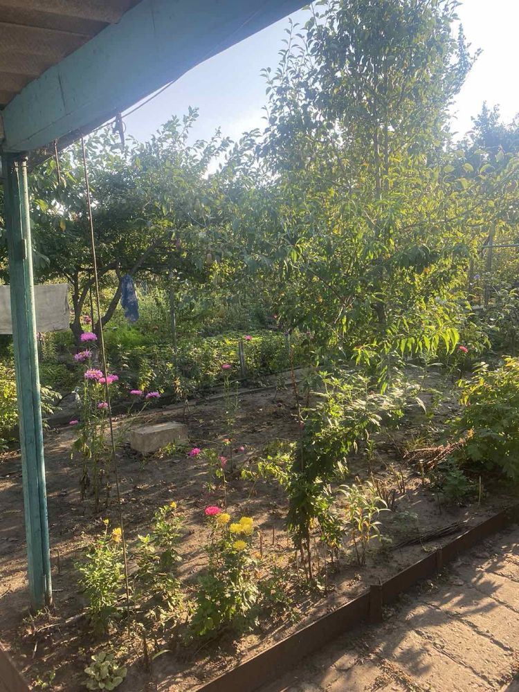 Продається сад 6 соток місто Камʼянське, Дніпропетровська область