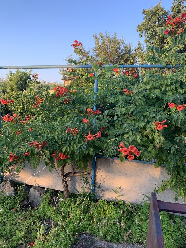 Продам гараж на лодочной станции Романково