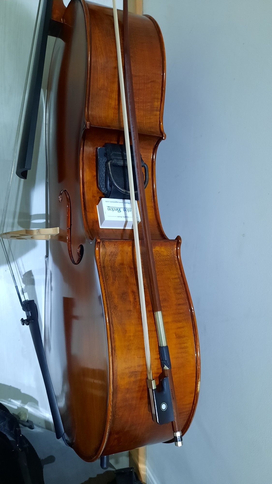 Violoncelo Cremona 4/4 SC 500