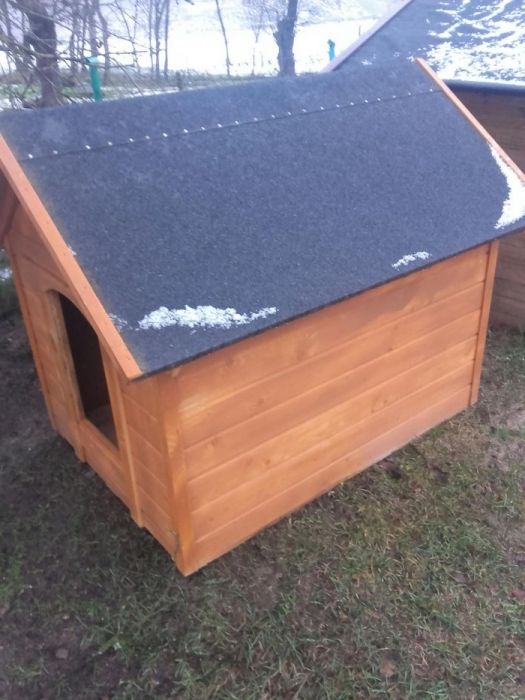 Buda dla psa duza Buda.