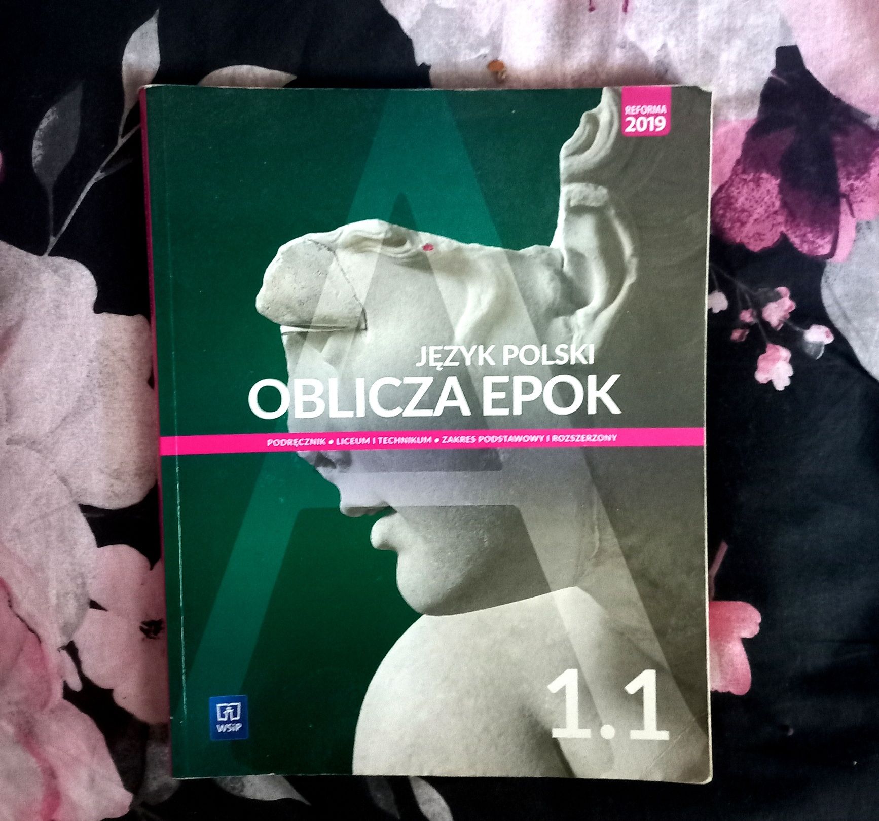Język Polski Oblicza Epok 1.1 Podręcznik ( Zakres Podstawowy I Rozszer