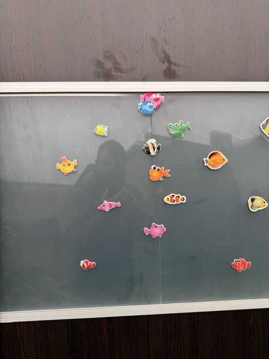 Двері для шафи купе 83см*276см