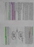 Bochenek anatomia 1-5