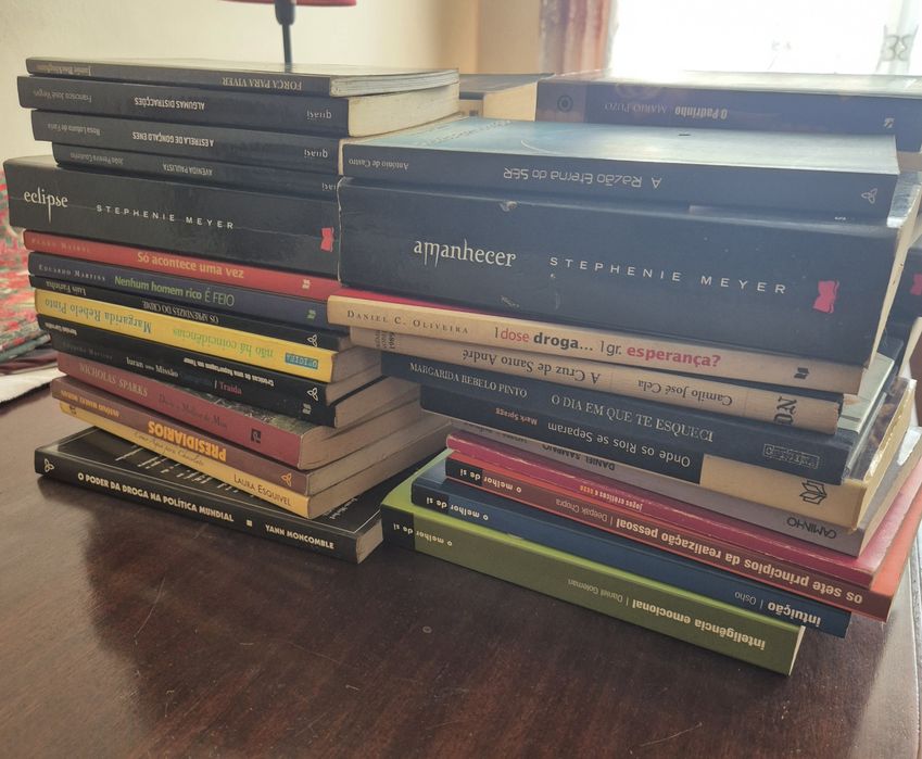 Lote livros variados