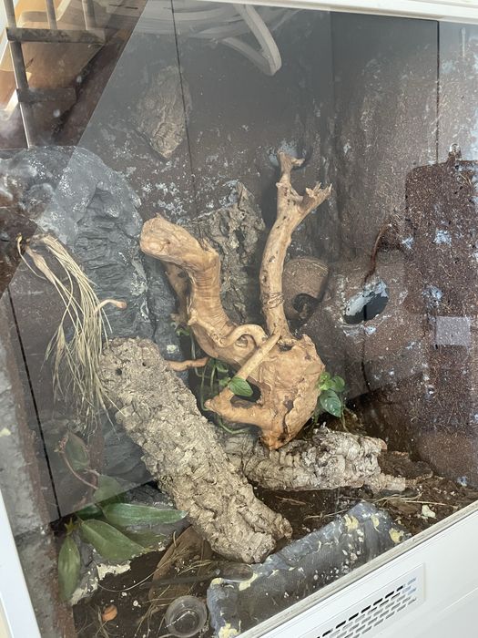 Podwojne terarium + pelne wyposazenie pod jaszczurki  !