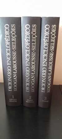 Dicionário enciclopédico - 3 volumes