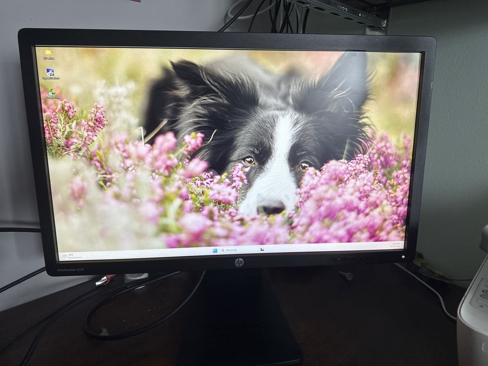 Monitor Hp EliteDisplay E231