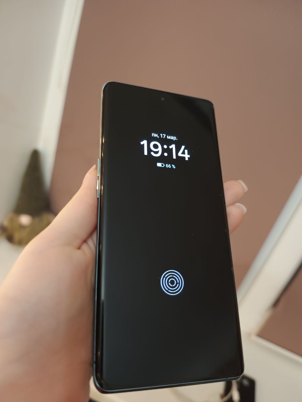 Oppo Find X6 12/256 , состояние идеальное